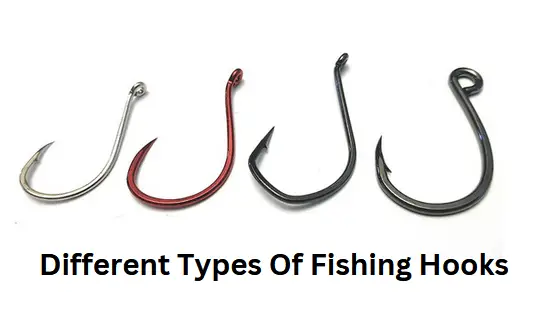 Different Types Of Fishing Hooks