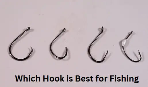 Which Hook is Best for Fishing