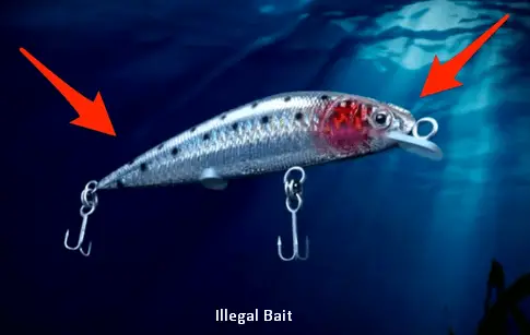 illegal Fishing Bait