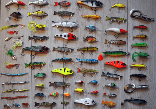 types of fishing bait