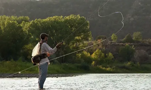 Fly Fishing Rods for Beginners 