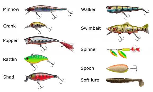 types of fishing baits