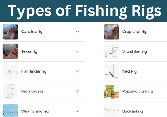 Types of Fishing Rigs
