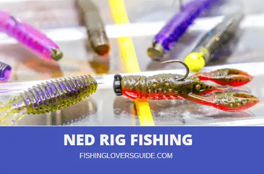 Ned Rig