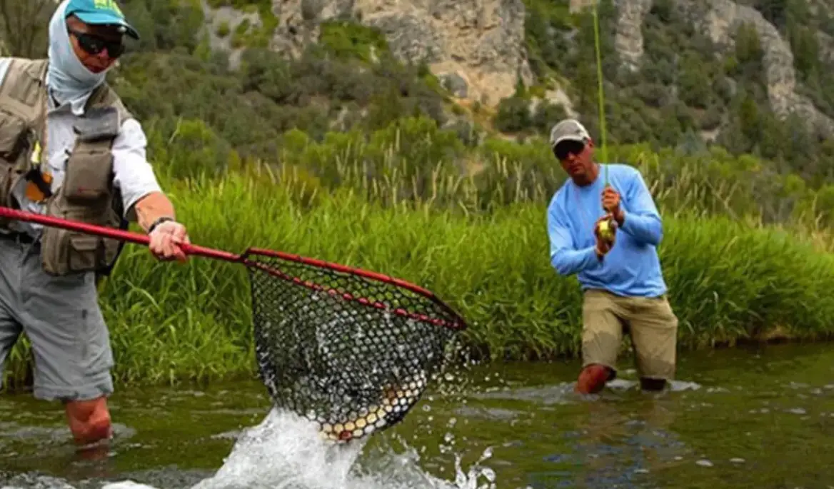 How to use a fishing net